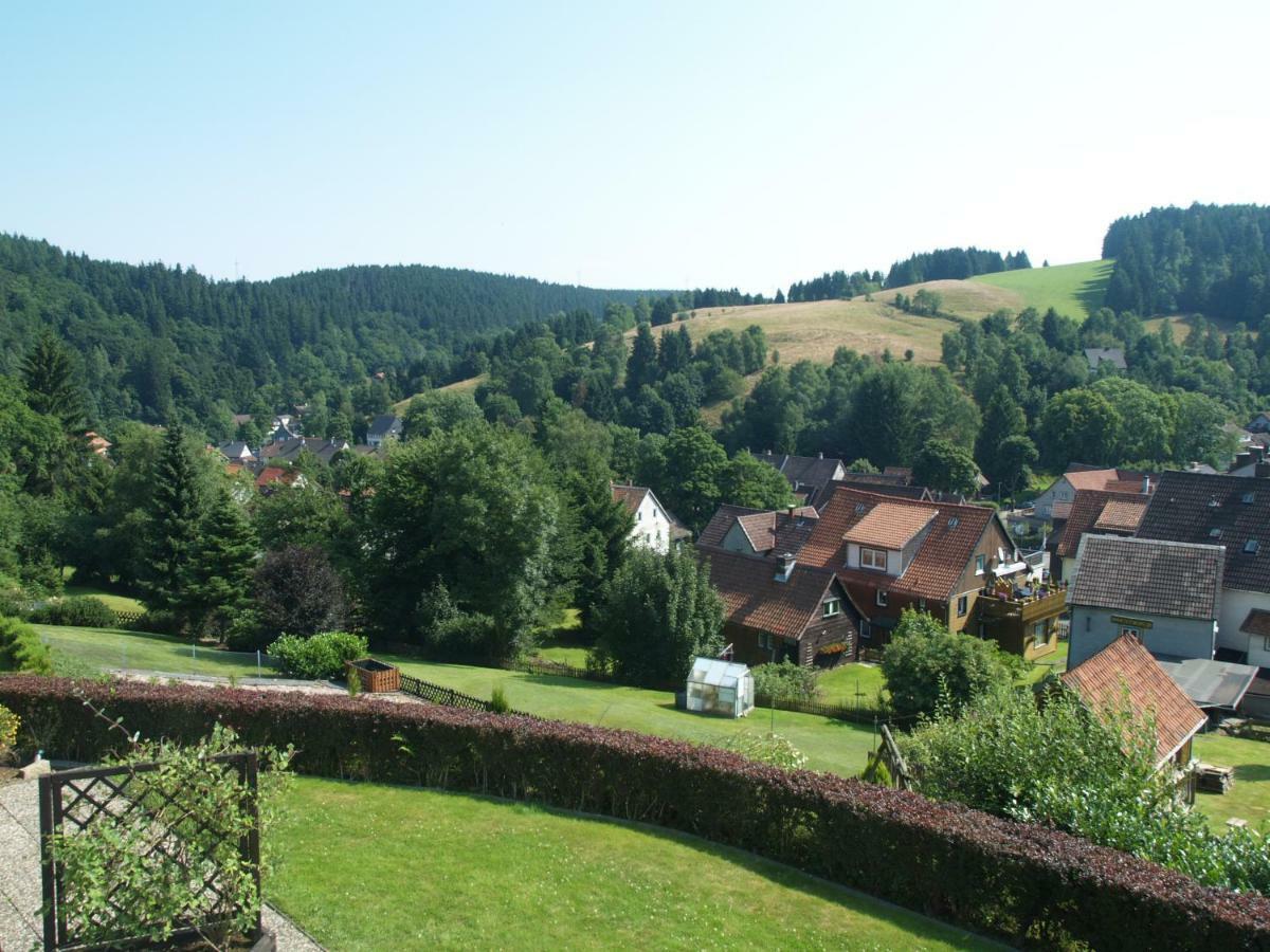 Haus Reimann Apartment Altenau  Exterior photo